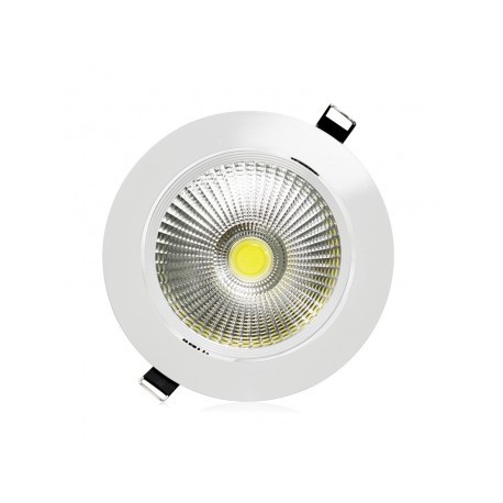 Spot LED Orientable avec Alimentation Electronique 12W 6000°K
