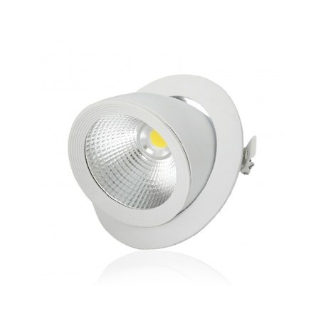 Spot LED Escargot Rond Inclinable et Orientable avec Alimentation Electronique 20W 4000°K