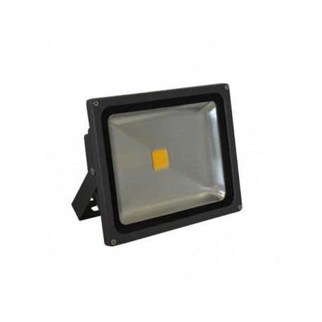 Projecteur Exterieur LED Gris 30W 3000°K