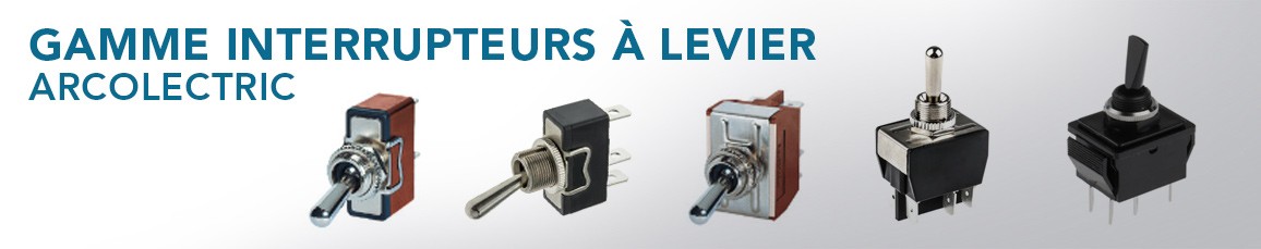 Interrupteurs à levier